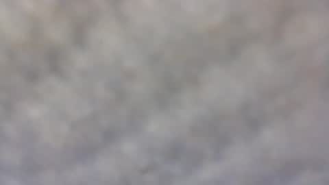 Snapshot of billmenow141 chatting on 02/11/25, 10:04 billmenow141 online show from 02/11/25, 10:04