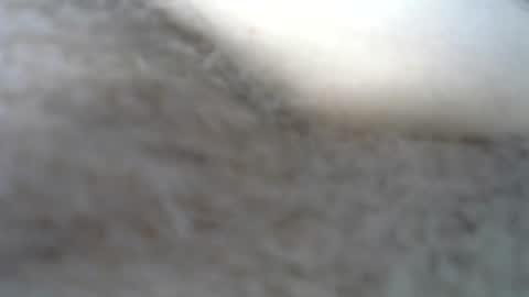 Snapshot of billpark20 chatting on 05/22/26, 02:30 billpark20 online show from 05/22/26, 02:30