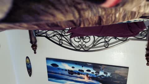 Snapshot of billy1850 chatting on 03/02/25, 08:40 Starlyte online show from 03/02/25, 08:40