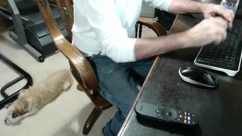 Snapshot of billy471 chatting on 12/03/24, 12:02 billy471 online show from 12/03/24, 12:02