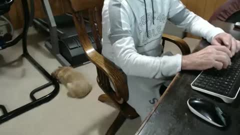 Snapshot of billy471 chatting on 01/23/25, 10:11 billy471 online show from 01/23/25, 10:11