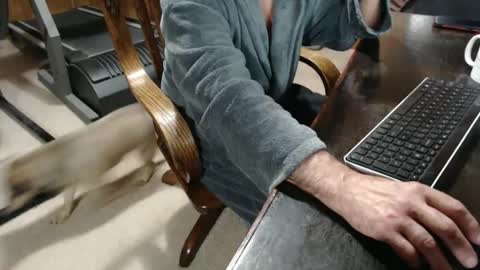 Snapshot of billy471 chatting on 02/23/25, 10:28 billy471 online show from 02/23/25, 10:28