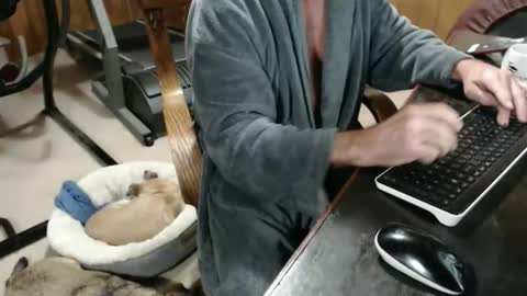 billy471 online show from 11/20/25, 03:12