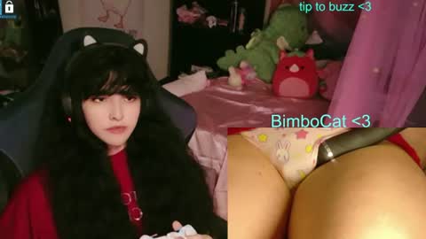 BimboCat online show from 06/12/26, 01:26