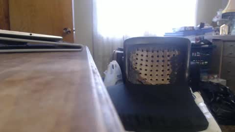 Snapshot of bimbttm chatting on 12/19/24, 05:50 Bimbttm online show from 12/19/24, 05:50