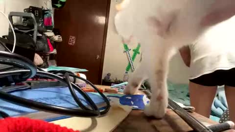 Manu O online show from 11/09/25, 08:07