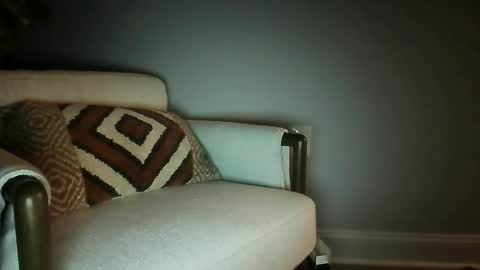 bisfurbear online show from 02/27/26, 08:36