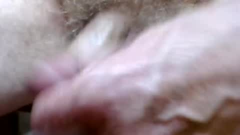 Snapshot of bitexan69 chatting on 09/20/25, 09:21 bitexan69 online show from 09/20/25, 09:21