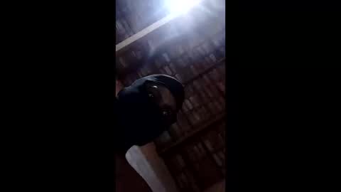 Snapshot of bittencourtgabriel chatting on 04/22/26, 03:09 bittencourtgabriel online show from 04/22/26, 03:09