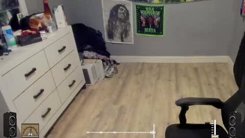 Snapshot of blaccanalmatters chatting on 10/17/25, 11:29 Plant Base Streamers From Pennsylvania online show from 10/17/25, 11:29