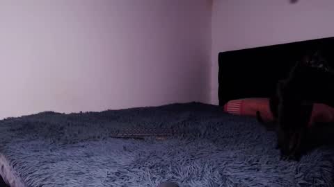 Snapshot of black_firex chatting on 10/06/25, 04:59 black_firex online show from 10/06/25, 04:59