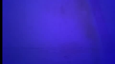 BLACK online show from 01/19/26, 05:55