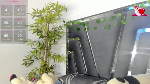 B L A C K  R O S E  online show from 02/07/25, 11:34