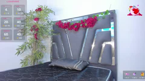 B L A C K  R O S E  online show from 02/19/25, 11:28