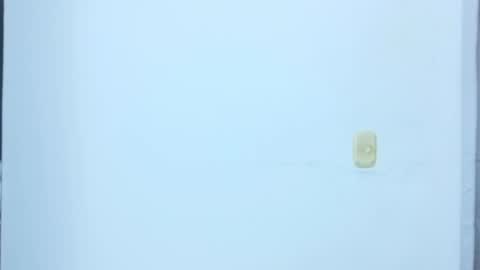 black_treassure online show from 02/12/26, 05:35