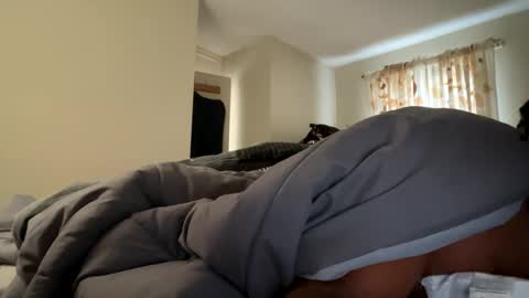 Snapshot of blackbig91 chatting on 12/03/24, 09:33 Blackybiggg online show from 12/03/24, 09:33