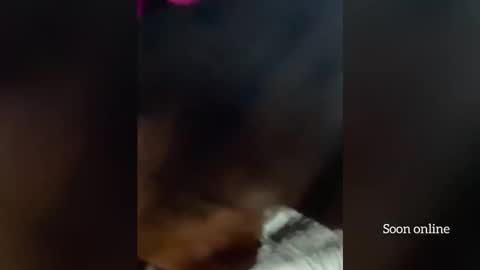 Snapshot of blackdominion chatting on 12/03/25, 03:58 Lilly and Bryson online show from 12/03/25, 03:58