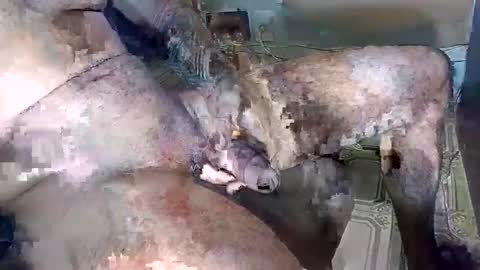 Snapshot of blackedbigdick chatting on 10/18/25, 07:03 blackedbigdick online show from 10/18/25, 07:03