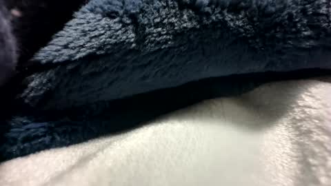 Snapshot of blackhammer8787 chatting on 12/08/24, 06:43 blackhammer8787 online show from 12/08/24, 06:43