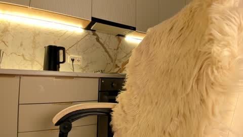 Snapshot of blackmilk_01 chatting on 01/20/25, 07:36 Karina online show from 01/20/25, 07:36