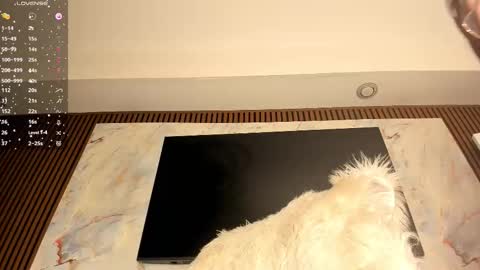 Karina online show from 02/20/26, 06:26