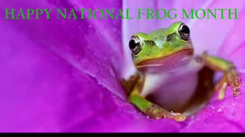 Snapshot of blacksirenqueen chatting on 04/01/26, 08:26 Queen Siren online show from 04/01/26, 08:26