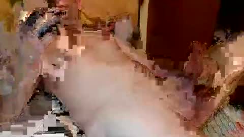 Snapshot of blagoy07 chatting on 12/15/25, 11:09 blagoy07 online show from 12/15/25, 11:09