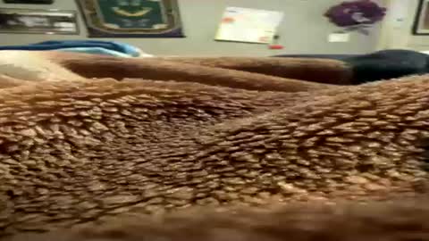 Snapshot of blancobenzo chatting on 08/01/26, 06:51 blancobenzo online show from 08/01/26, 06:51