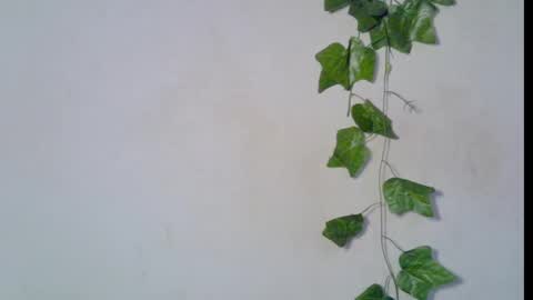 Snapshot of blaq_melanin chatting on 03/08/26, 06:50 nikky00 online show from 03/08/26, 06:50