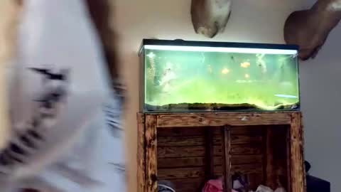 Snapshot of blasianangel444 chatting on 04/17/26, 05:32 blasianangel444 online show from 04/17/26, 05:32