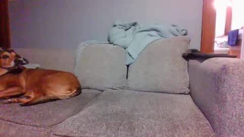 blaw_1321 online show from 03/05/25, 09:59