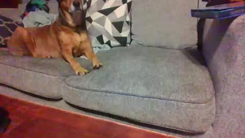 blaw_1321 online show from 11/14/25, 08:57