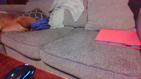 blaw_1321 online show from 12/01/25, 02:05