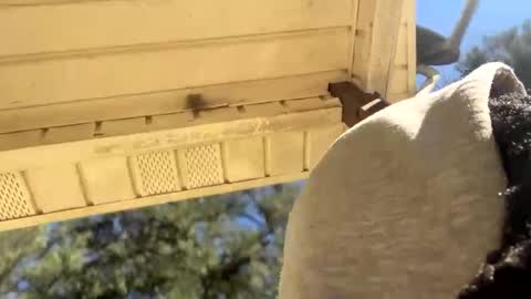 Snapshot of blaxkasta chatting on 01/04/25, 05:05 Black Clover online show from 01/04/25, 05:05