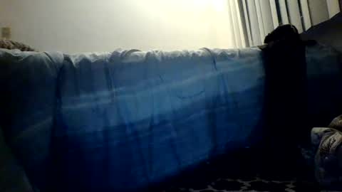 blayne711 online show from 12/06/24, 11:00