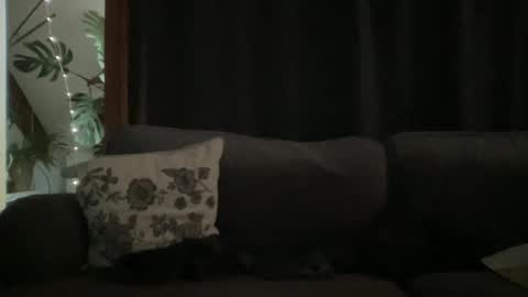 BlIdoL online show from 12/18/25, 09:04