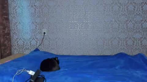 bloemetjes online show from 10/07/25, 11:35