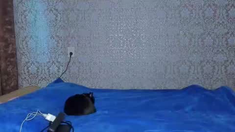 bloemetjes online show from 10/16/25, 10:00