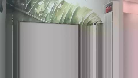 blondebunny999 online show from 03/18/26, 08:56