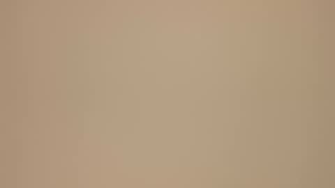 Blondie gin online show from 02/21/25, 03:54