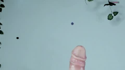 Snapshot of blueberry_____ chatting on 04/12/26, 09:42 Sophie online show from 04/12/26, 09:42