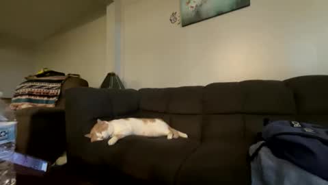 Snapshot of bluebloodednorsewitch chatting on 10/16/25, 02:29 bluebloodednorsewitch online show from 10/16/25, 02:29