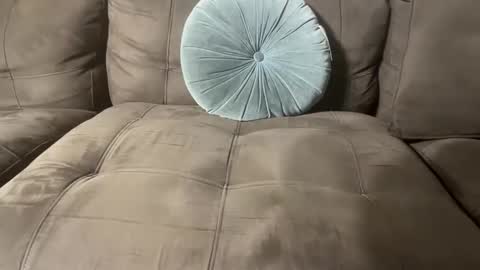 bluegreenish online show from 10/27/25, 11:41