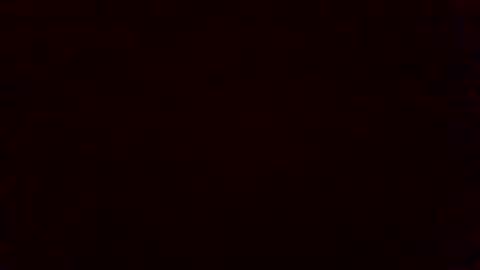 bluegum00 online show from 11/04/25, 09:41