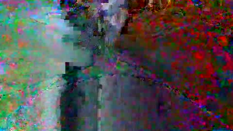 bluegum00 online show from 06/08/26, 02:01