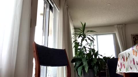 Blueyedudeseattle online show from 09/21/25, 06:42