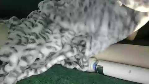 Snapshot of blyss666 chatting on 10/28/25, 09:39 lyss online show from 10/28/25, 09:39