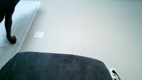 bobbiebone and company online show from 03/11/25, 06:19