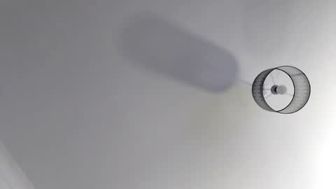 bobby160968 online show from 11/19/25, 07:03