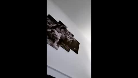 bobby160968 online show from 01/08/26, 06:43